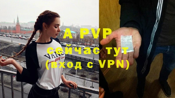 таблы Новозыбков