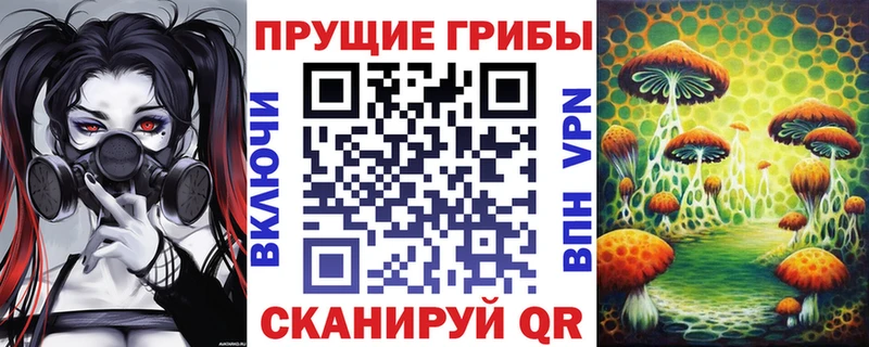 цены   Кунгур  Псилоцибиновые грибы Psilocybe 