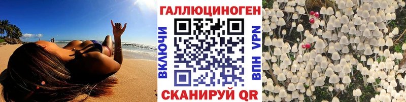 Псилоцибиновые грибы Psilocybine cubensis Кунгур