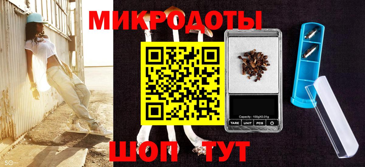 Галлюциногенные грибы Psilocybine cubensis Кунгур