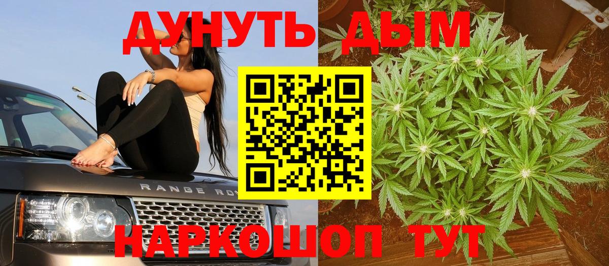 Бошки Шишки OG Kush  Вход с VPN  Кунгур  Марихуана планчик  Марихуана гибрид 